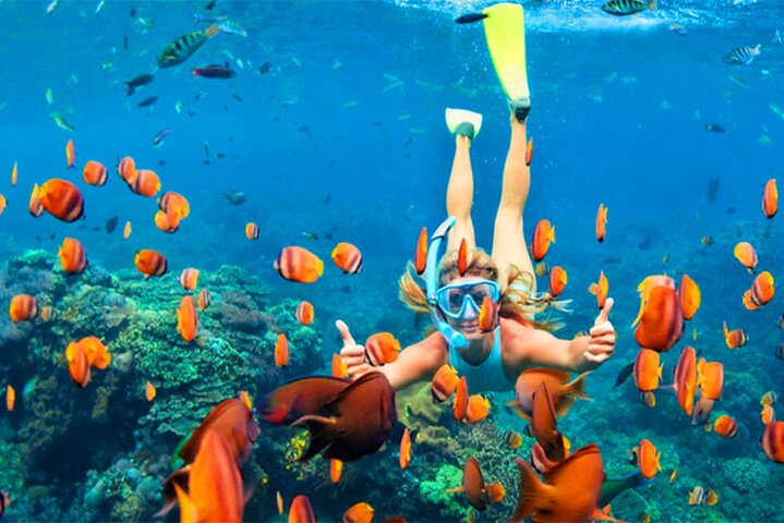 Snorkeling in Negombo - Photo 1 of 6